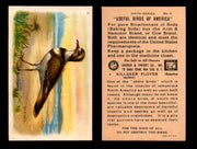 Birds - Useful Birds of America 6th Series You Pick Singles Church & Dwight J-9 #4 Killdeer  - TvMovieCards.com
