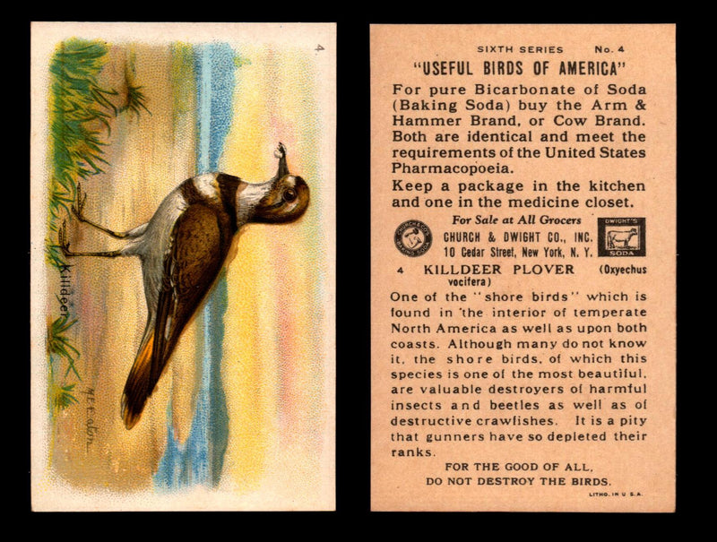 Birds - Useful Birds of America 6th Series You Pick Singles Church & Dwight J-9 #4 Killdeer  - TvMovieCards.com
