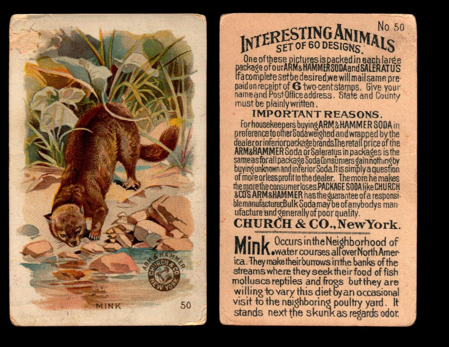 Interesting Animals You Pick Single Card #1-60 1892 J10 Church Arm & Hammer #50 Mink Damaged  - TvMovieCards.com