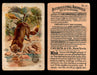 Interesting Animals You Pick Single Card #1-60 1892 J10 Church Arm & Hammer #50 Mink Damaged  - TvMovieCards.com
