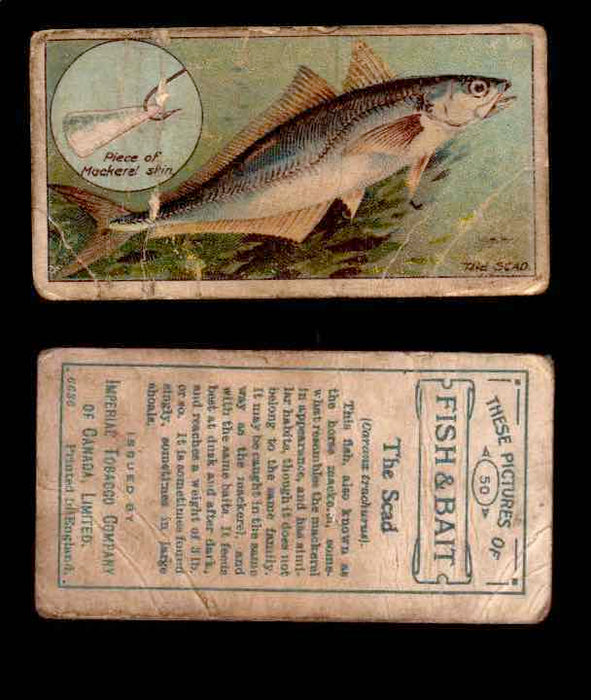 1910 Fish and Bait Imperial Tobacco Vintage Trading Cards You Pick Singles #1-50 #50 Sead  - TvMovieCards.com