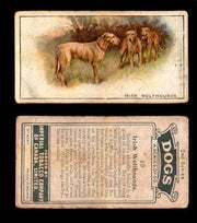 1925 Dogs 2nd Series Imperial Tobacco Vintage Trading Cards U Pick Singles #1-50 #50 Irish Wolfhounds  - TvMovieCards.com