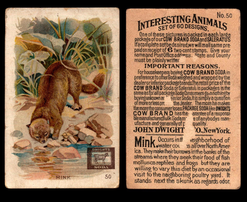 Interesting Animals You Pick Single Card #1-60 1892 J10 Church Arm & Hammer #50 Mink Dwight Soda Damaged  - TvMovieCards.com