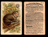 Interesting Animals You Pick Single Card #1-60 1892 J10 Church Arm & Hammer #52 Opossum Creases  - TvMovieCards.com