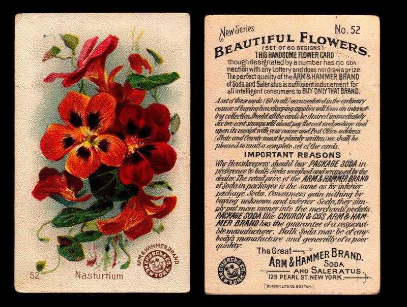 Beautiful Flowers New Series You Pick Singles Card #1-#60 Arm & Hammer 1888 J16 #52 Nasturtium  - TvMovieCards.com