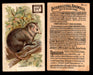 Interesting Animals You Pick Single Card #1-60 1892 J10 Church Arm & Hammer #52 Opossum Dwight Soda  - TvMovieCards.com