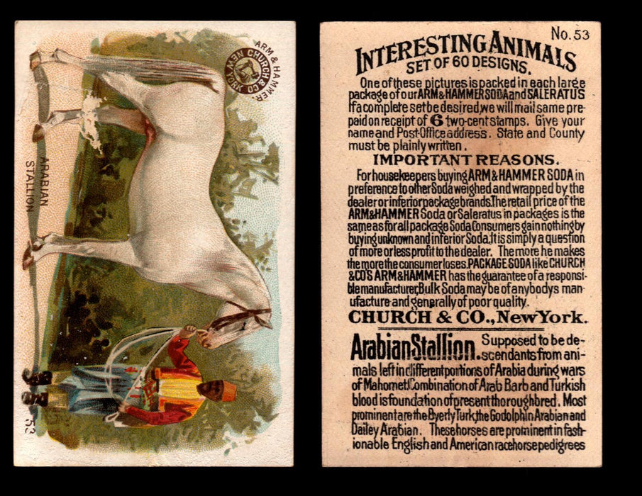 Interesting Animals You Pick Single Card #1-60 1892 J10 Church Arm & Hammer #53 Arabian Stallion Damaged  - TvMovieCards.com