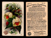 Beautiful Flowers New Series You Pick Singles Card #1-#60 Arm & Hammer 1888 J16 #53 Abutilon  - TvMovieCards.com