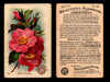 Beautiful Flowers New Series You Pick Singles Card #1-#60 Arm & Hammer 1888 J16 #54 Wild Roses  - TvMovieCards.com