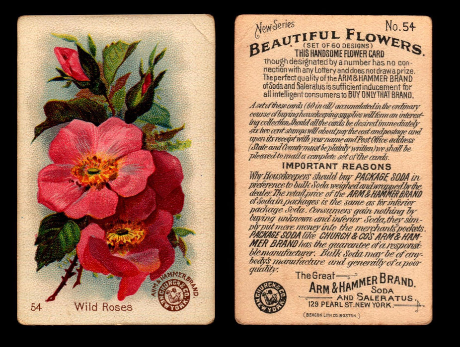 Beautiful Flowers New Series You Pick Singles Card #1-#60 Arm & Hammer 1888 J16 #54 Wild Roses  - TvMovieCards.com