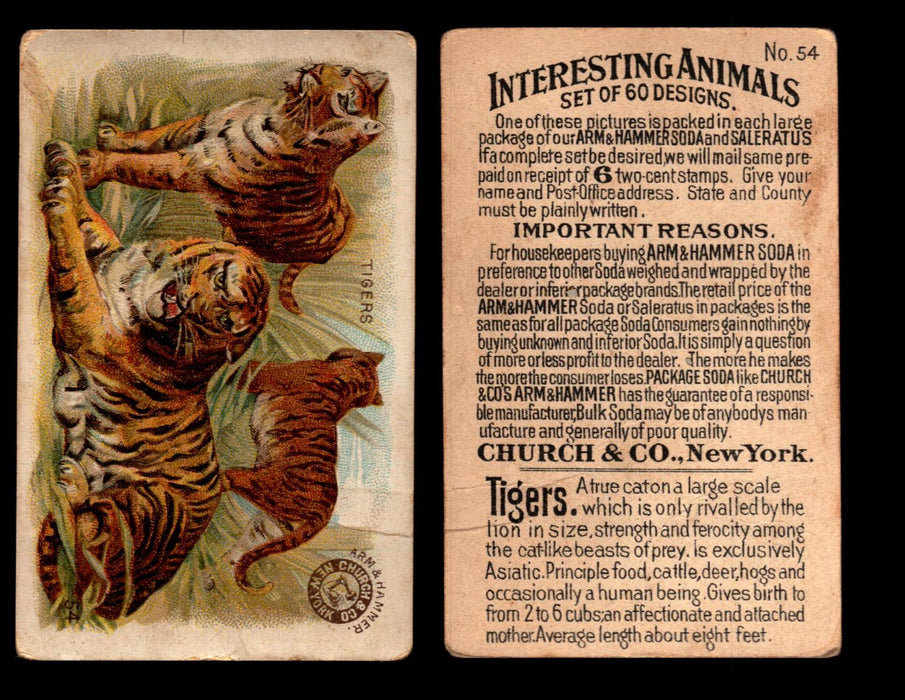 Interesting Animals You Pick Single Card #1-60 1892 J10 Church Arm & Hammer #54 Tigers Creases  - TvMovieCards.com