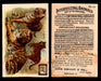 Interesting Animals You Pick Single Card #1-60 1892 J10 Church Arm & Hammer #54 Tigers Dwight Soda Damaged  - TvMovieCards.com