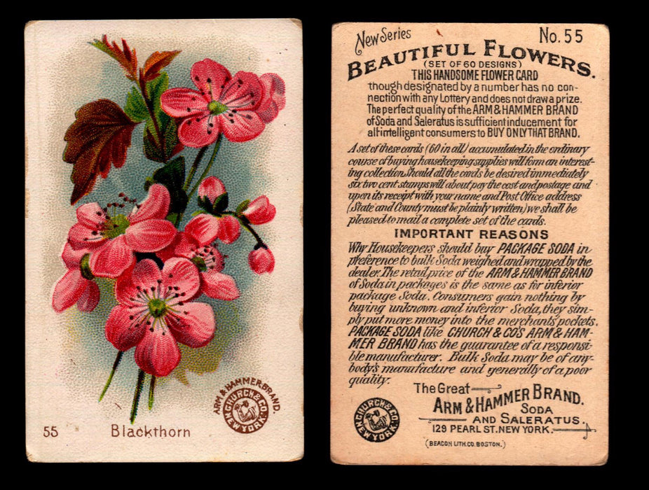 Beautiful Flowers New Series You Pick Singles Card #1-#60 Arm & Hammer 1888 J16 #55 Blackthorn  - TvMovieCards.com