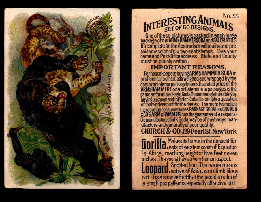 Interesting Animals You Pick Single Card #1-60 1892 J10 Church Arm & Hammer #55 Gorilla and Leopard  - TvMovieCards.com