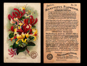 Beautiful Flowers New Series You Pick Singles Card #1-#60 Arm & Hammer 1888 J16 #56 Honeysuckle  - TvMovieCards.com
