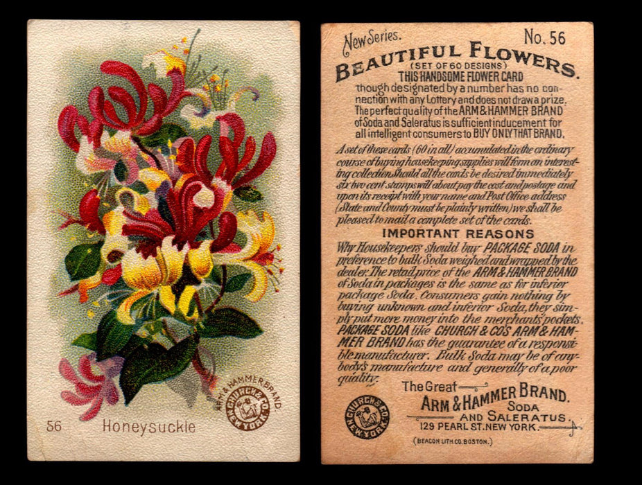 Beautiful Flowers New Series You Pick Singles Card #1-#60 Arm & Hammer 1888 J16 #56 Honeysuckle  - TvMovieCards.com