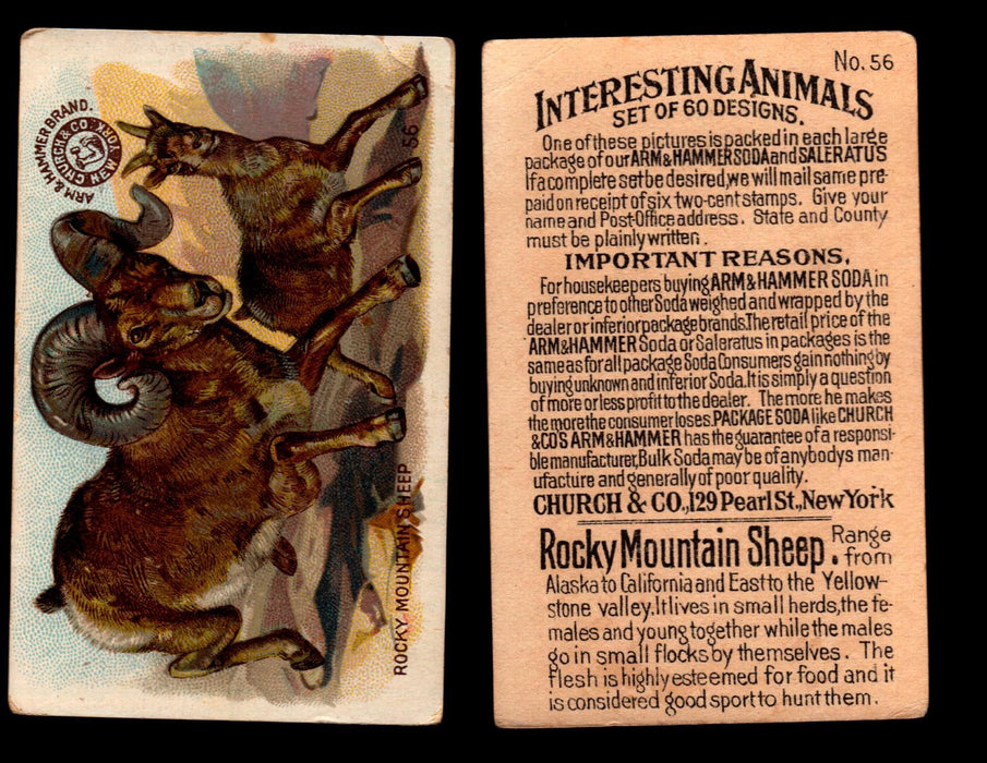 Interesting Animals You Pick Single Card #1-60 1892 J10 Church Arm & Hammer $56 Rocky Mountain Sheep  - TvMovieCards.com