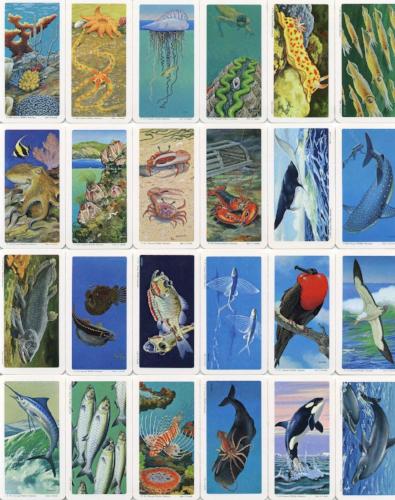 1971 Brooke Bond Foods Limited Exploring The Ocean Vintage Card Set 48 Cards   - TvMovieCards.com