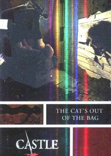 Castle Seasons 3 & 4 Foil Parallel Chase Card Behind The Scenes B2   - TvMovieCards.com