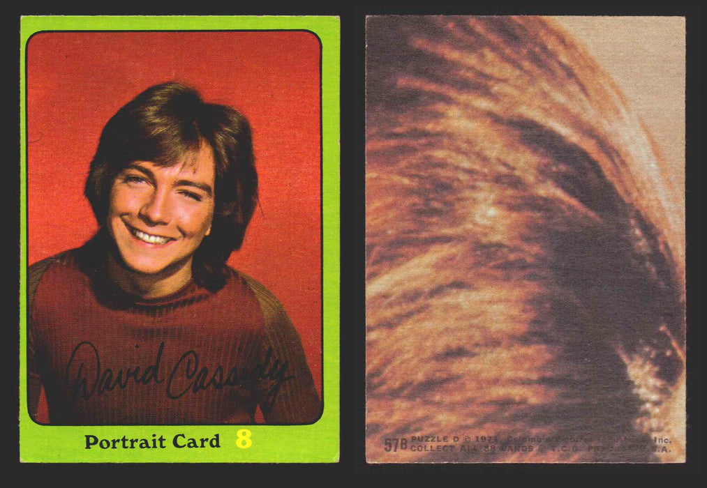 1971 The Partridge Family Series 3 Green You Pick Single Cards #1-88B Topps USA #	57B   Portrait Card  8: David Cassidy  - TvMovieCards.com