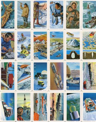 1973 Brooke Bond Foods Limited The Arctic Vintage Card Set 48 Cards   - TvMovieCards.com