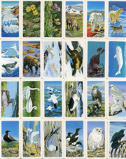 1973 Brooke Bond Foods Limited The Arctic Vintage Card Set 48 Cards   - TvMovieCards.com