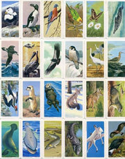 1970 Brooke Bond North American Wildlife In Danger Vintage Card Set 48 Cards   - TvMovieCards.com