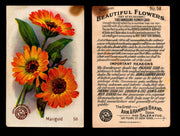 Beautiful Flowers New Series You Pick Singles Card #1-#60 Arm & Hammer 1888 J16 #58 Marigold  - TvMovieCards.com