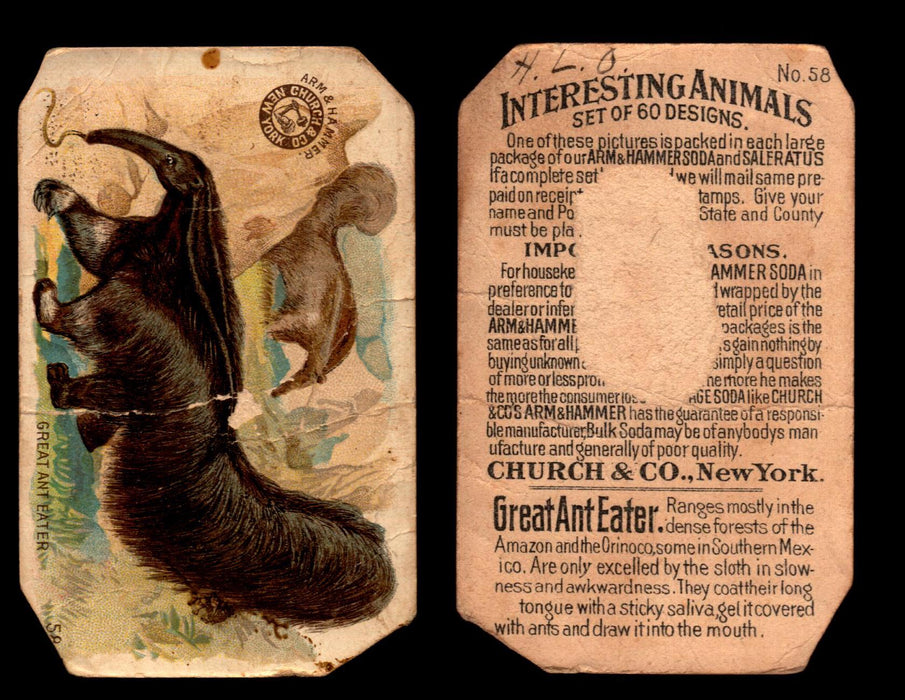 Interesting Animals You Pick Single Card #1-60 1892 J10 Church Arm & Hammer #58 Great Ant Eater Heavily Damaged  - TvMovieCards.com
