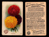 Beautiful Flowers New Series You Pick Singles Card #1-#60 Arm & Hammer 1888 J16 #59 Dahlias  - TvMovieCards.com