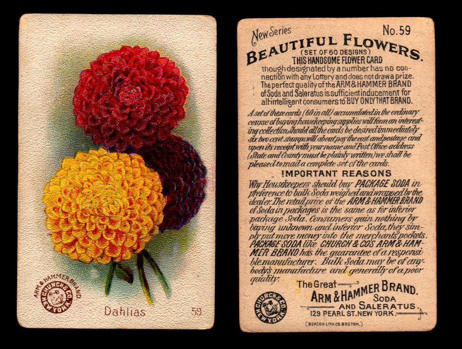 Beautiful Flowers New Series You Pick Singles Card #1-#60 Arm & Hammer 1888 J16 #59 Dahlias  - TvMovieCards.com