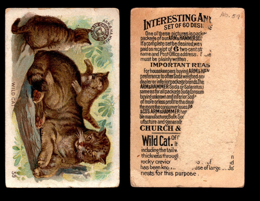 Interesting Animals You Pick Single Card #1-60 1892 J10 Church Arm & Hammer #59 Wild Cat Damaged  - TvMovieCards.com