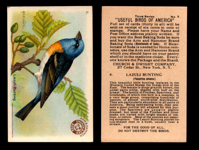 Birds - Useful Birds of America 3rd Series You Pick Singles Church & Dwight J-7 #5 Lazuli Bunting  - TvMovieCards.com