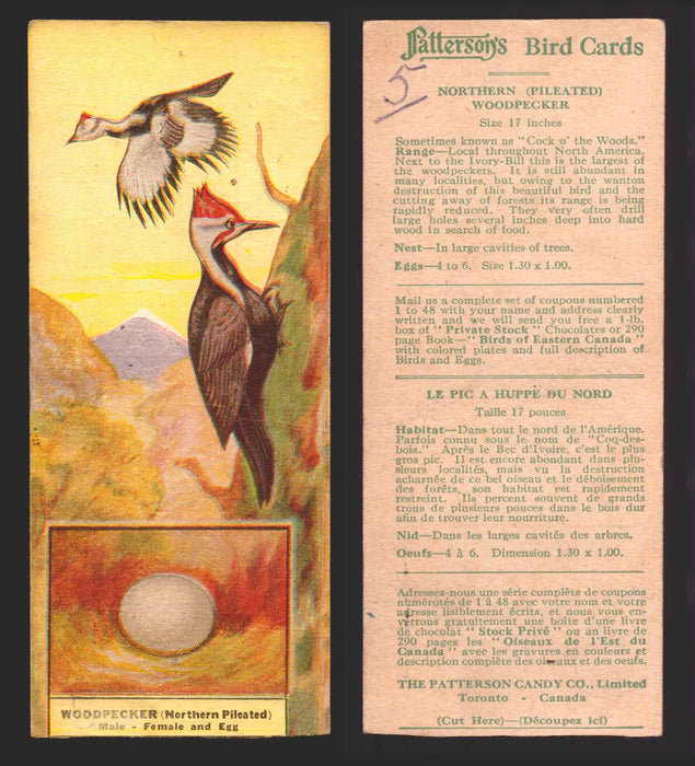 1924 Patterson's Bird Chocolate Vintage Trading Cards U Pick Singles #1-46 5 Northern (Pileated) Woodpecker  - TvMovieCards.com