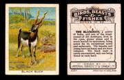 1923 Birds, Beasts, Fishes C1 Imperial Tobacco Vintage Trading Cards Singles #5 Black Buck  - TvMovieCards.com