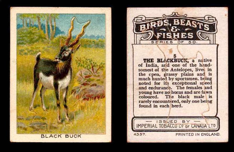 1923 Birds, Beasts, Fishes C1 Imperial Tobacco Vintage Trading Cards Singles #5 Black Buck  - TvMovieCards.com