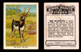 1923 Birds, Beasts, Fishes C1 Imperial Tobacco Vintage Trading Cards Singles #5 Black Buck  - TvMovieCards.com