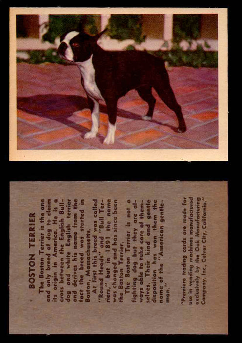 1957 Dogs Premiere Oak Man. R-724-4 Vintage Trading Cards You Pick Singles #1-42 #5 Boston Terrier  - TvMovieCards.com