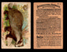 Interesting Animals You Pick Single Card #1-60 1892 J10 Church Arm & Hammer #5 Badger  - TvMovieCards.com
