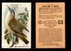 Birds - Useful Birds of America 9th Series You Pick Singles Church & Dwight J-9 #5 Red-eyed Vireo  - TvMovieCards.com