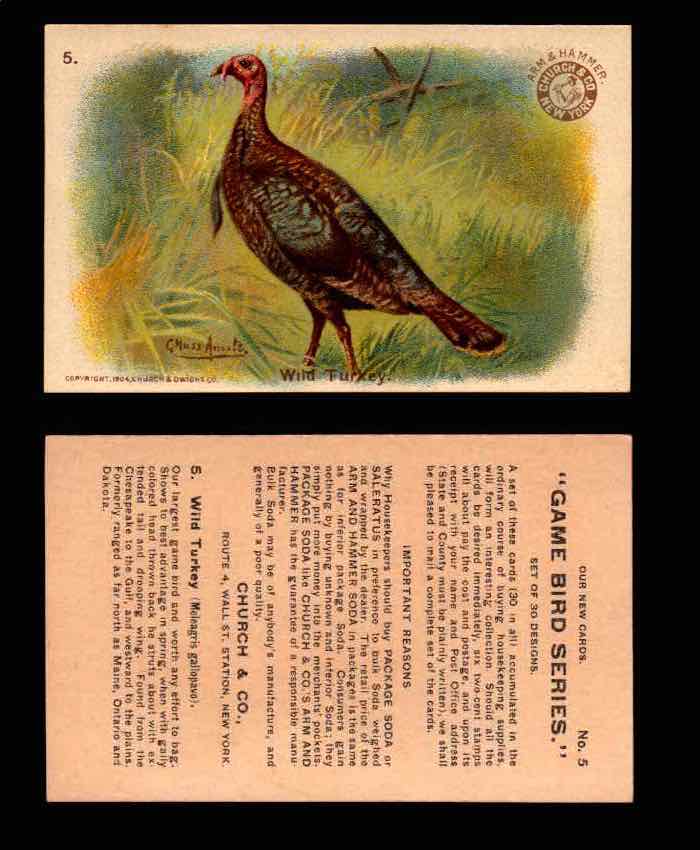 1904 Arm & Hammer Game Bird Series Vintage Trading Cards Singles #1-30 #5 Wild Turkey  - TvMovieCards.com