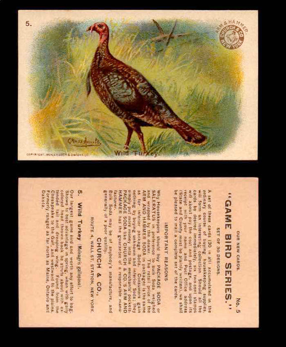 1904 Arm & Hammer Game Bird Series Vintage Trading Cards Singles #1-30 #5 Wild Turkey  - TvMovieCards.com