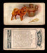 1925 Dogs 2nd Series Imperial Tobacco Vintage Trading Cards U Pick Singles #1-50 #5 Chow-Chow  - TvMovieCards.com