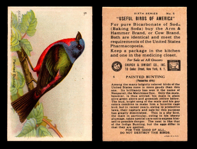 Birds - Useful Birds of America 6th Series You Pick Singles Church & Dwight J-9 #5 Painted Bunting  - TvMovieCards.com