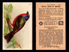 Birds - Useful Birds of America 6th Series You Pick Singles Church & Dwight J-9 #5 Painted Bunting  - TvMovieCards.com