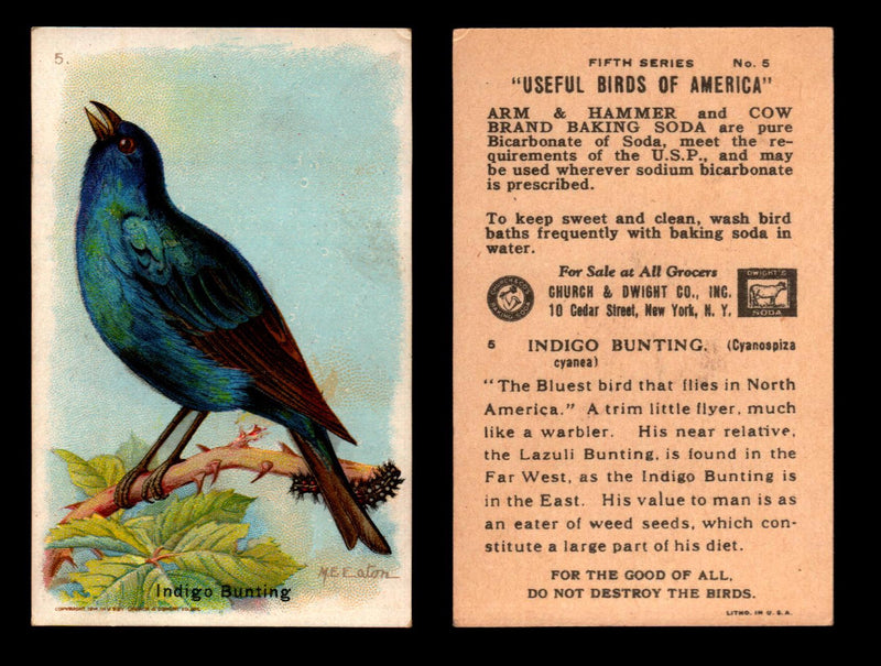 Birds - Useful Birds of America 5th Series You Pick Singles Church & Dwight J-9 #5 Indigo Bunting  - TvMovieCards.com