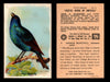 Birds - Useful Birds of America 5th Series You Pick Singles Church & Dwight J-9 #5 Indigo Bunting  - TvMovieCards.com