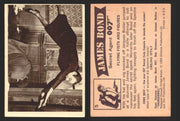 1966 James Bond 007 Thunderball Vintage Trading Cards You Pick Singles #1-66 5   Flying Fists And Figures  - TvMovieCards.com