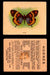 1925 Harry Horne Butterflies FC2 Vintage Trading Cards You Pick Singles #1-50 #5  - TvMovieCards.com
