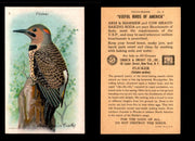 Birds - Useful Birds of America 10th Series You Pick Singles Church & Dwight J-9 #5 Flicker  - TvMovieCards.com